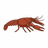 アメリカザリガニ